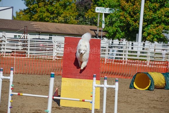 AGILITY-2403
