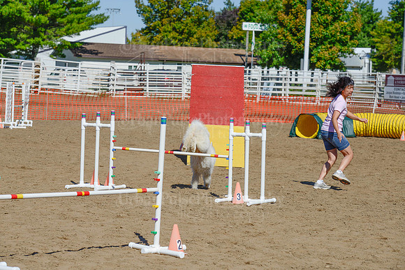 AGILITY-2248
