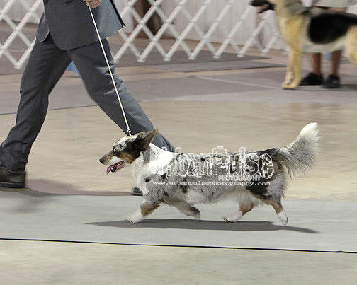 Fargo_2011-4125