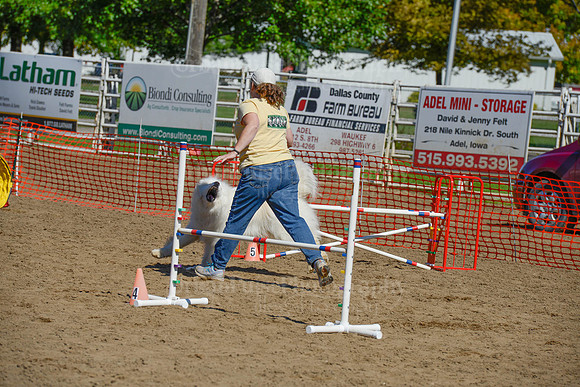 AGILITY-2365