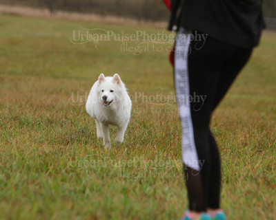 SCA2016_LURE COURSING-7727