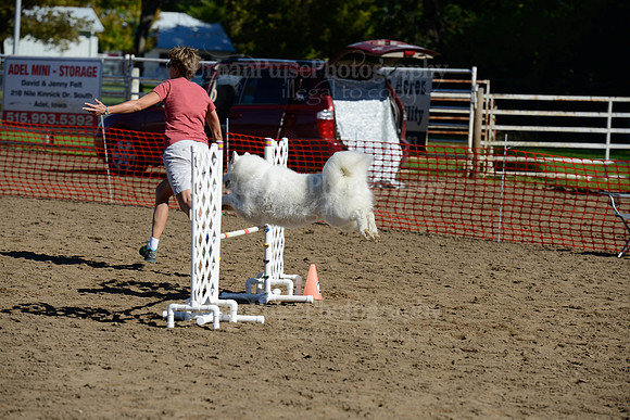 AGILITY-1957