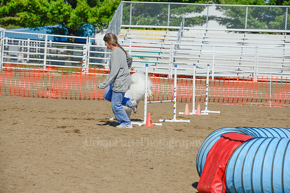 AGILITY-2175