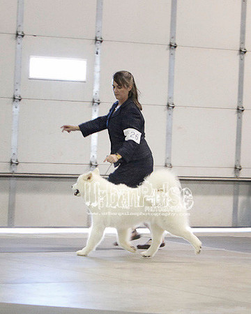 Fargo_2011-4376