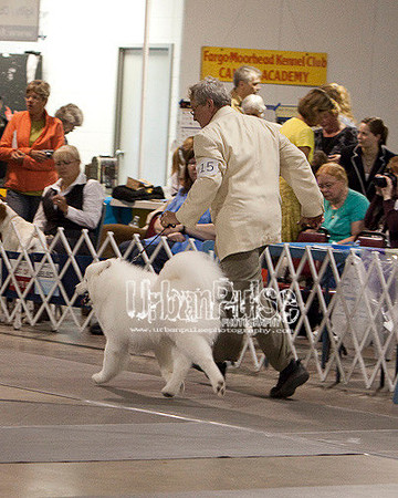 Fargo_2011-4049