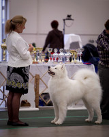 DBEX-0738