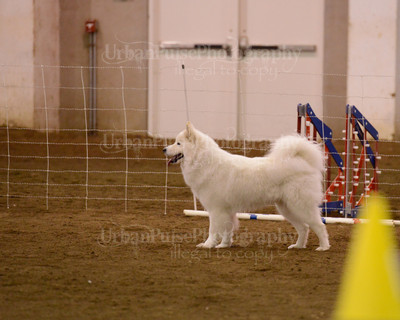 SCA2016_AG MON FAST NOVICE-3556