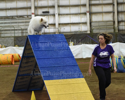 SCA2016_AG MON FAST NOVICE-0114