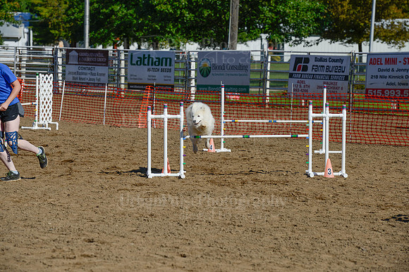 AGILITY-2032