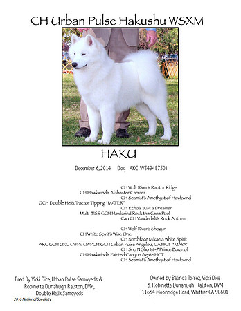 HAKU PEDIGREE 2016