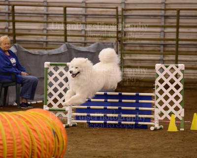 SCA2016_AG MON FAST NOVICE-3594