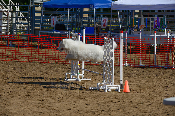 AGILITY-2043