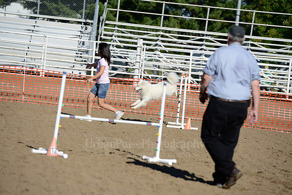 AGILITY-1851
