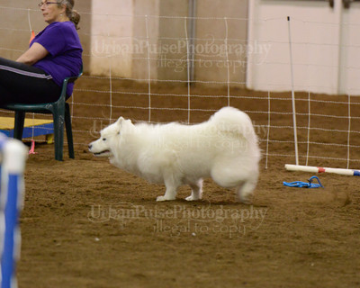 SCA2016_AG MON FAST NOVICE-3531