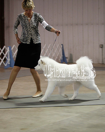 Fargo_2011-3622