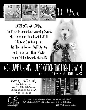 D-Min bulletin