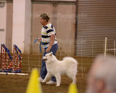 SCA2016_AG MON FAST NOVICE-3529