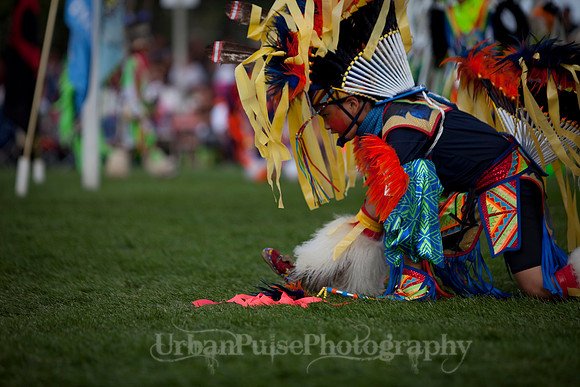 Wacipi_2011-2388