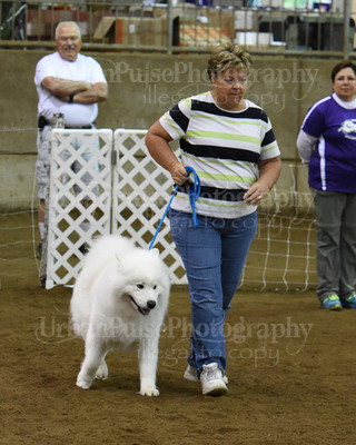 SCA2016_AG MON FAST NOVICE-0129