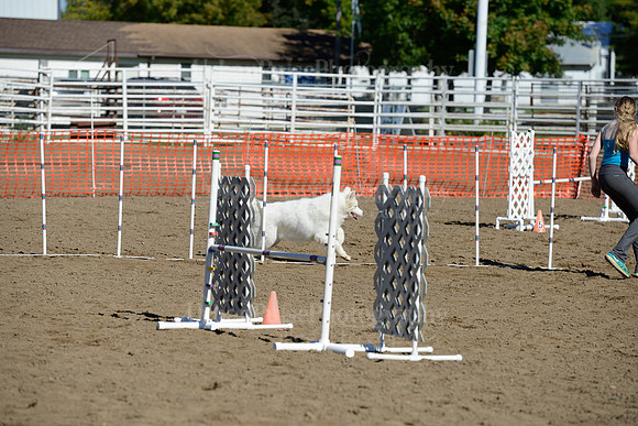 AGILITY-1938