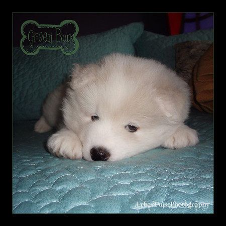 KEATS 5 WKS-DSC00112