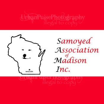 SAMI LOGO