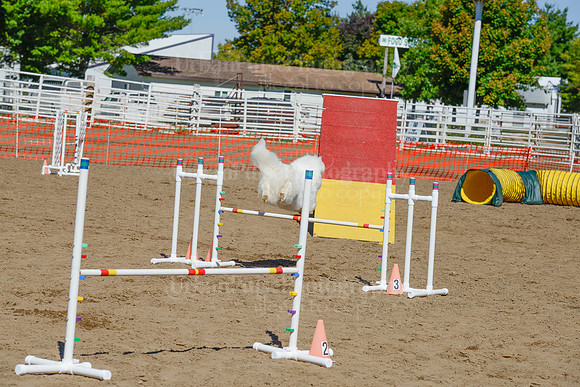 AGILITY-2387