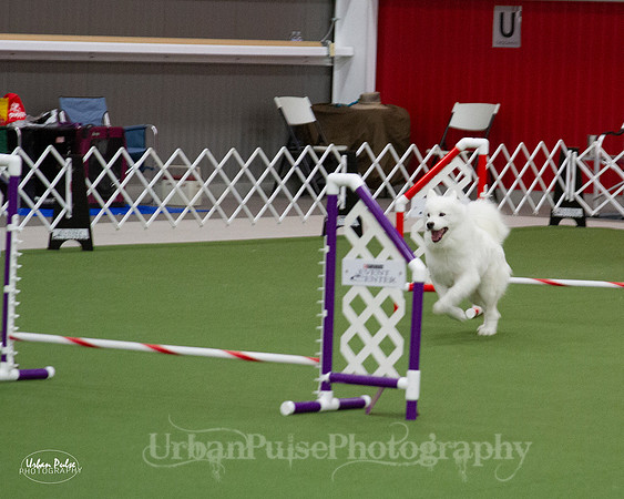 AGILITY_9461