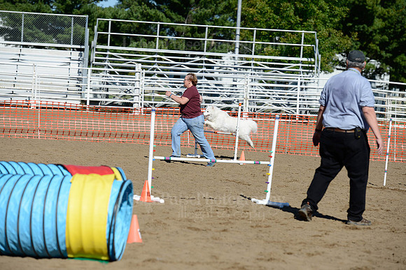 AGILITY-1998
