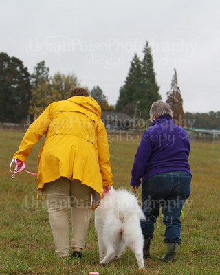 SCA2016_LURE COURSING-7734