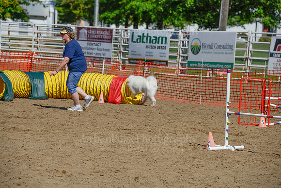 AGILITY-2278