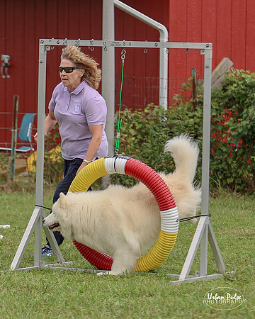 AGILITY-3030