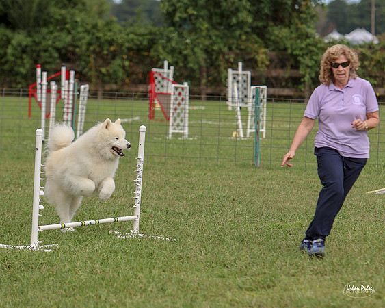 AGILITY-3025