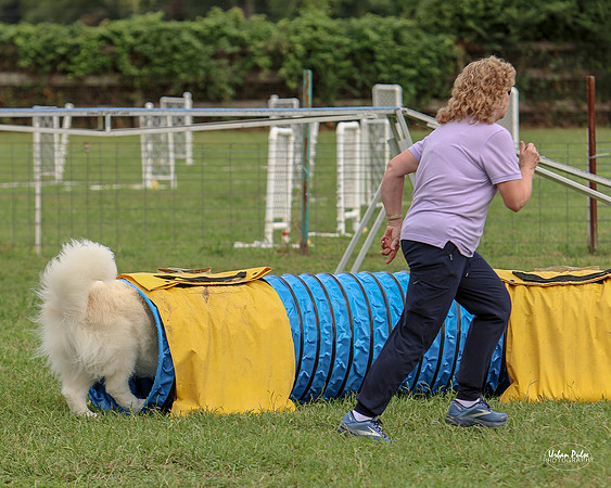 AGILITY-3028