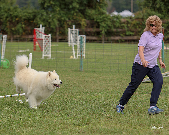AGILITY-3026