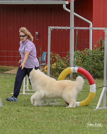 AGILITY-3031