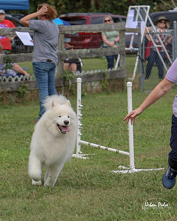 AGILITY-3035