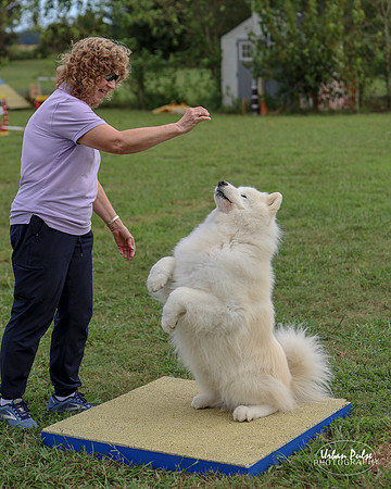 AGILITY-3039