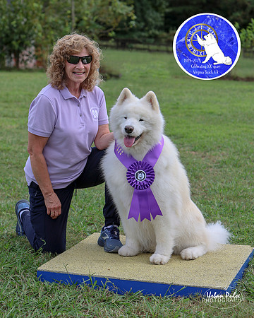 AGILITY-3042