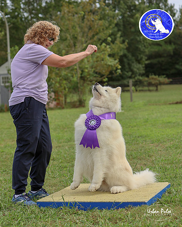 AGILITY-3044