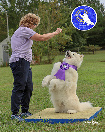AGILITY-3043
