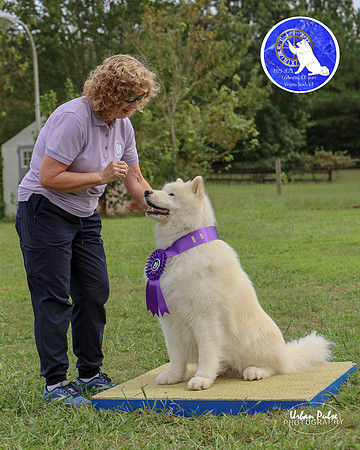 AGILITY-3045