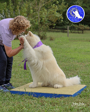 AGILITY-3046
