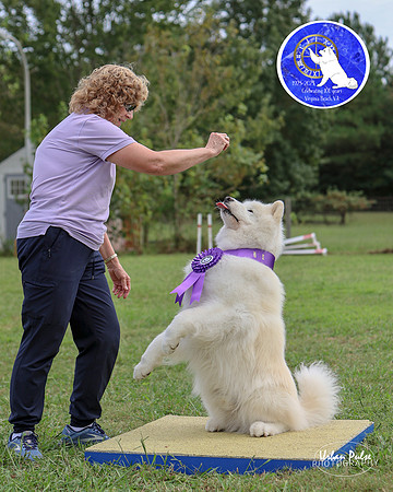 AGILITY-3048