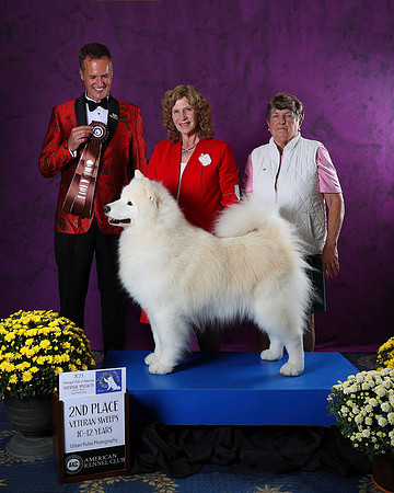 AWARD-2861