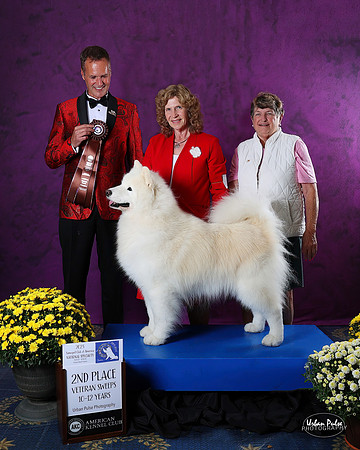 AWARD-2862_10-2