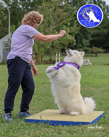 AGILITY-3047