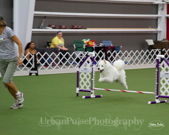 AGILITY_9462