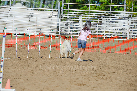 AGILITY-2261