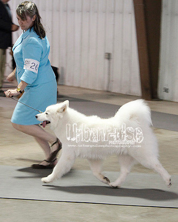 Fargo_2011-4190